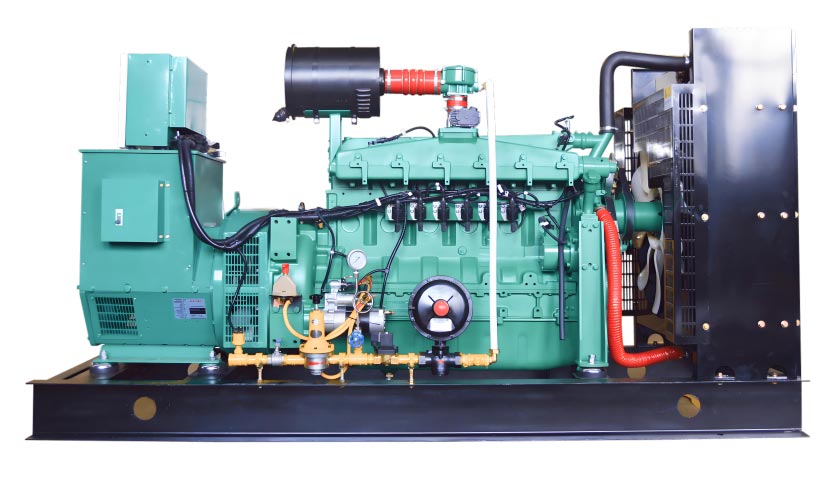 Natural Gas Generator Set